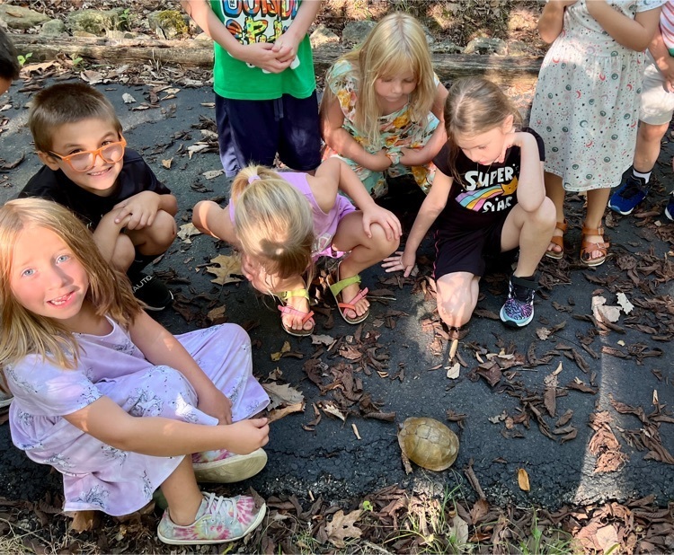 kids and a turtle 