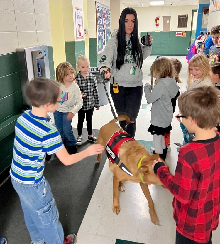 kids and dogs