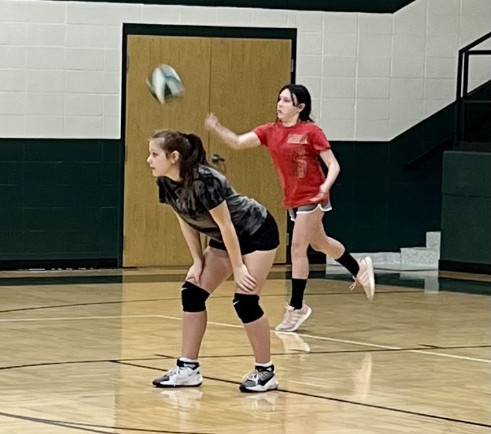 volleyball game