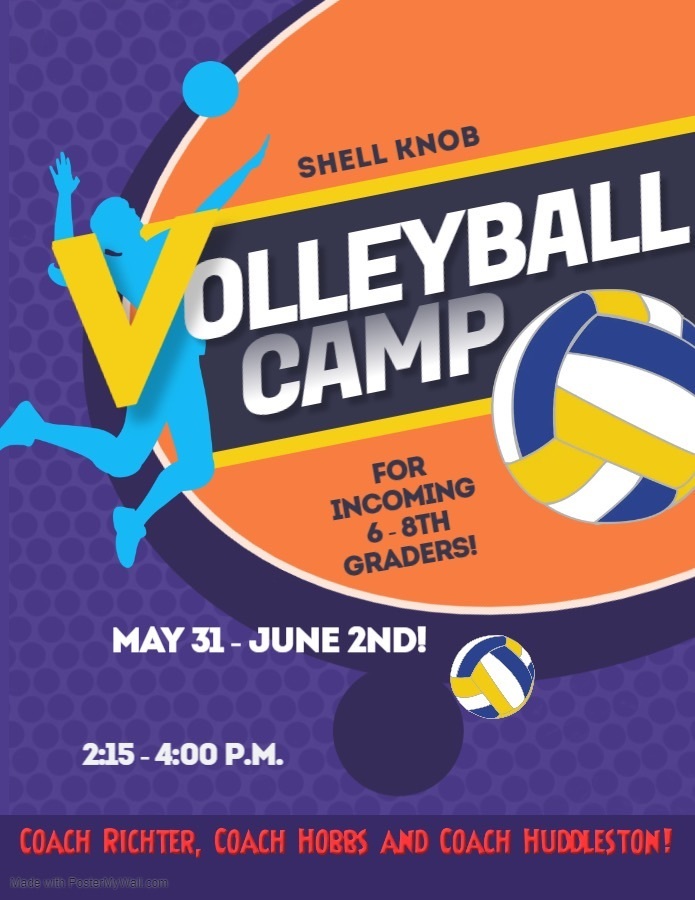 volleyball poster 