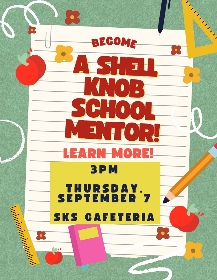 poster for mentors