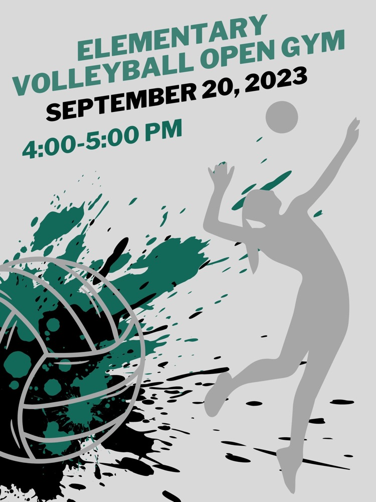 volleyball flyer 